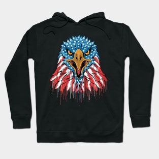 American Eagle Logo Hoodie